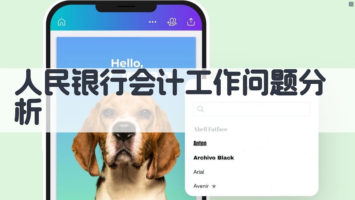 人民银行会计工作问题分析