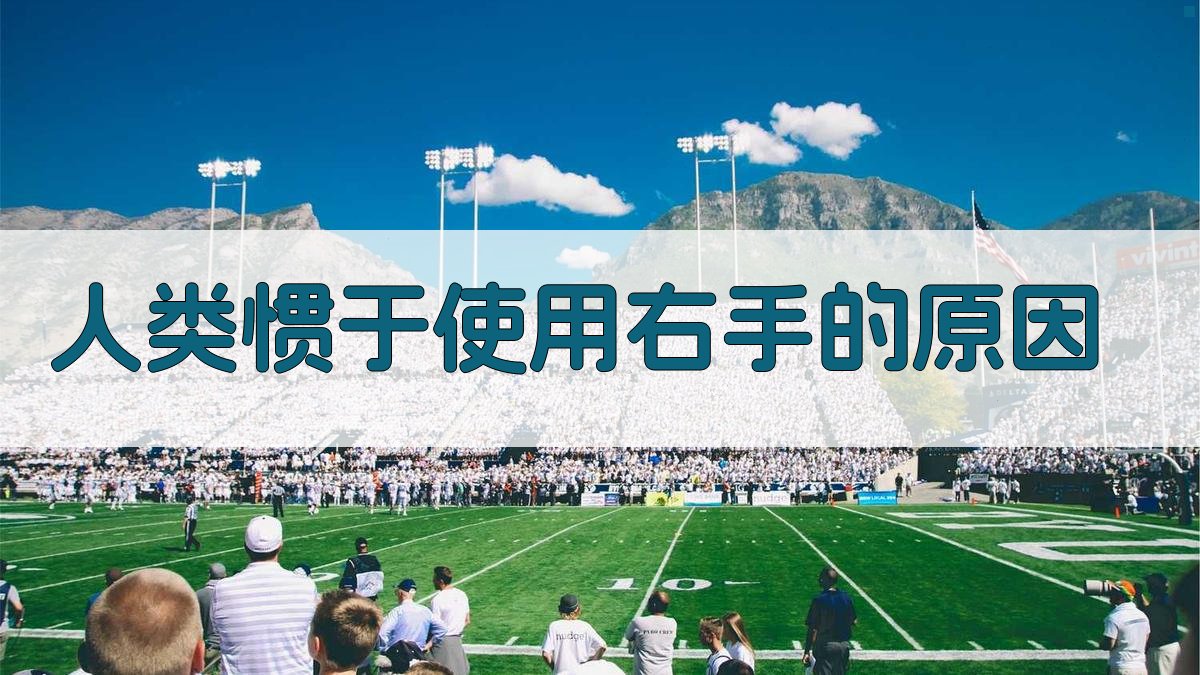 人类惯于使用右手的原因