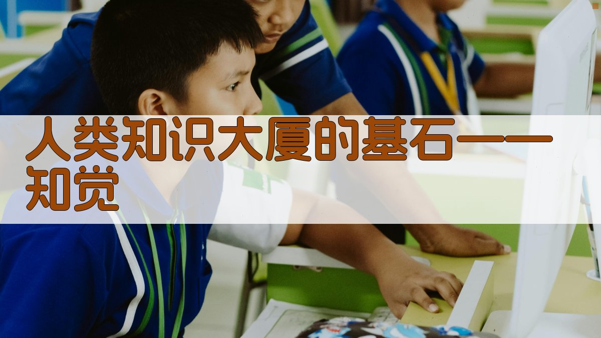 人类知识大厦的基石——知觉分析工具