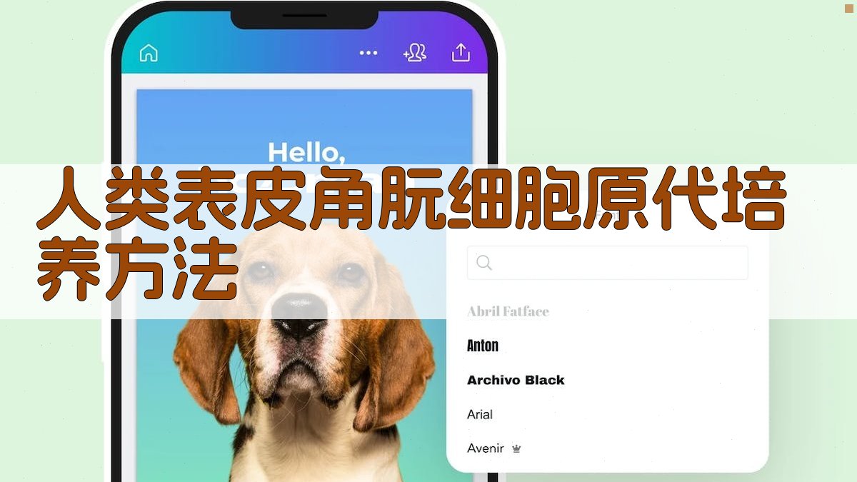 人类表皮角朊细胞原代培养