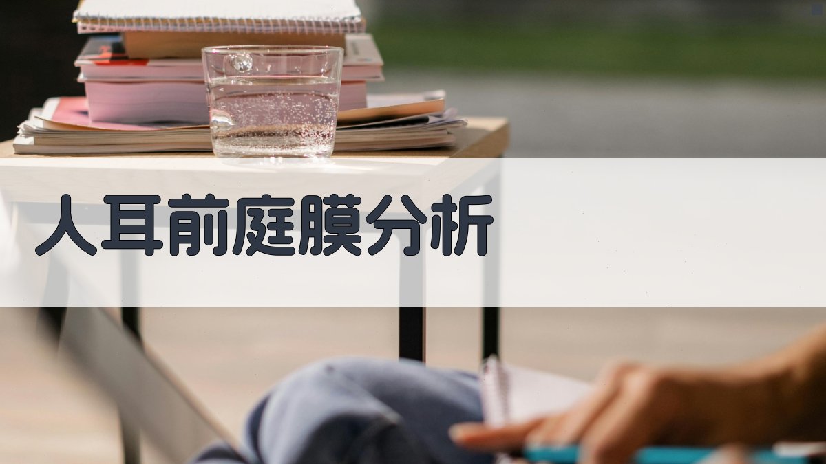 AI人耳前庭膜分析