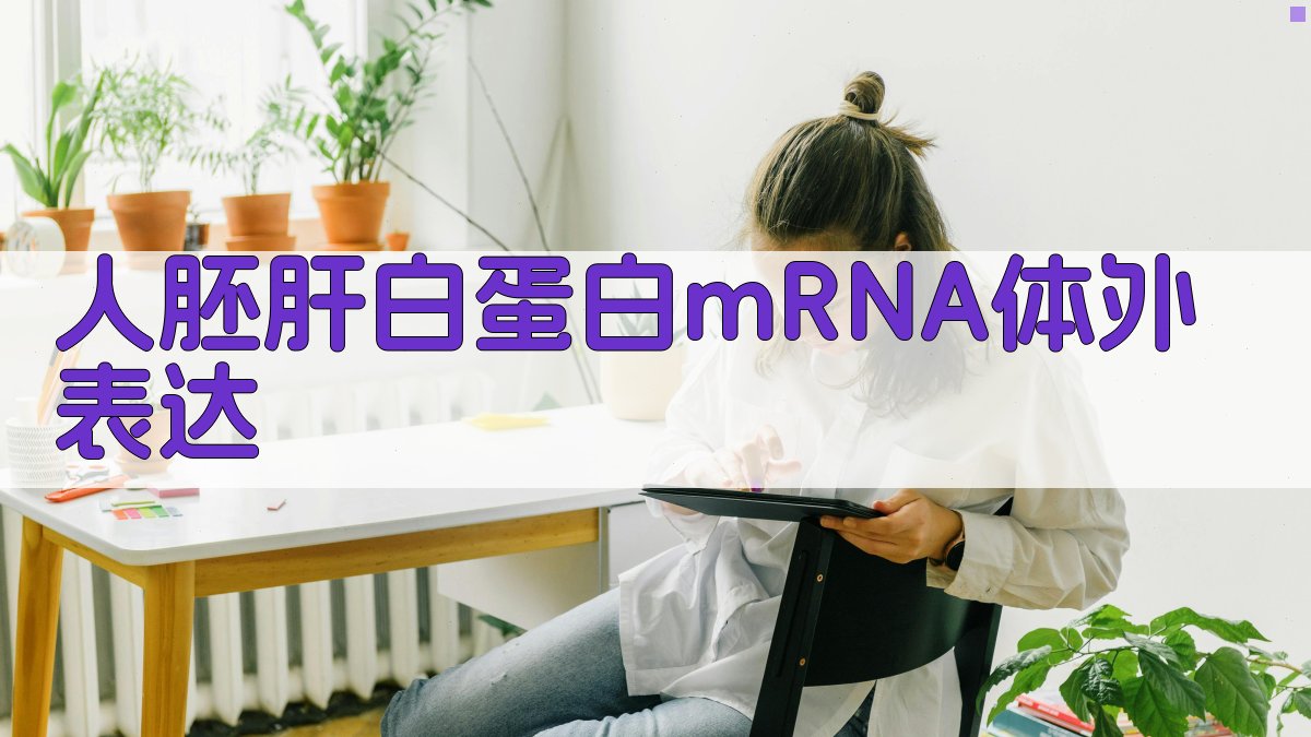 人胚肝白蛋白mRNA体外表达实验方案