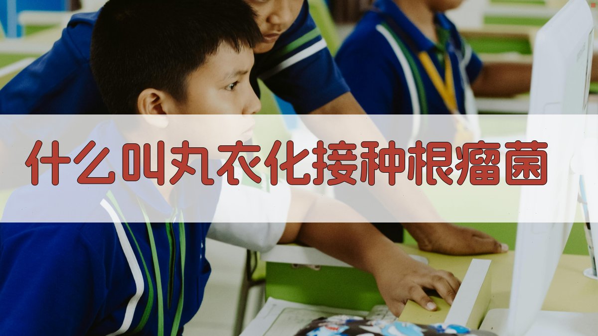 什么叫丸衣化接种根瘤菌