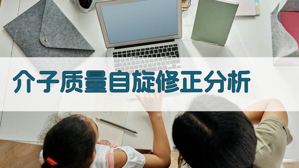 介子质量自旋修正分析