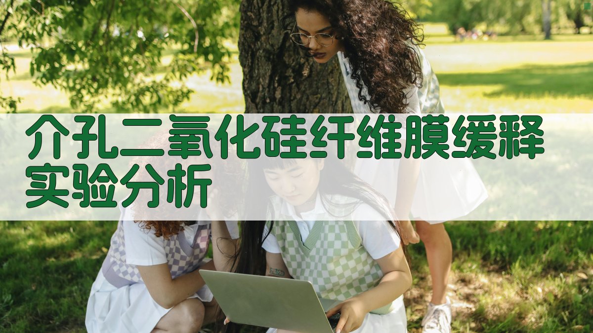 介孔二氧化硅纤维膜缓释实验分析