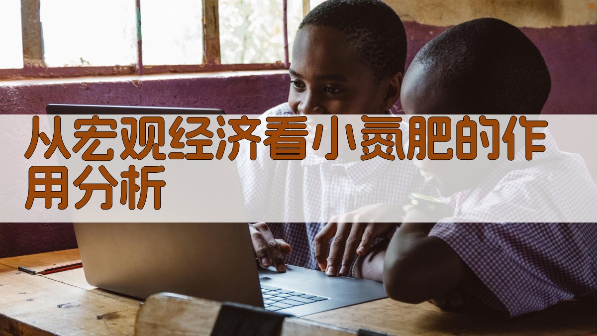 从宏观经济看小氮肥的作用分析