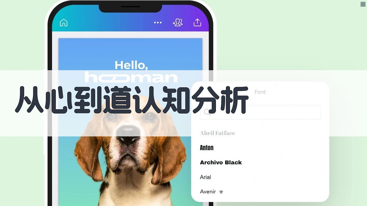 从心到道认知分析