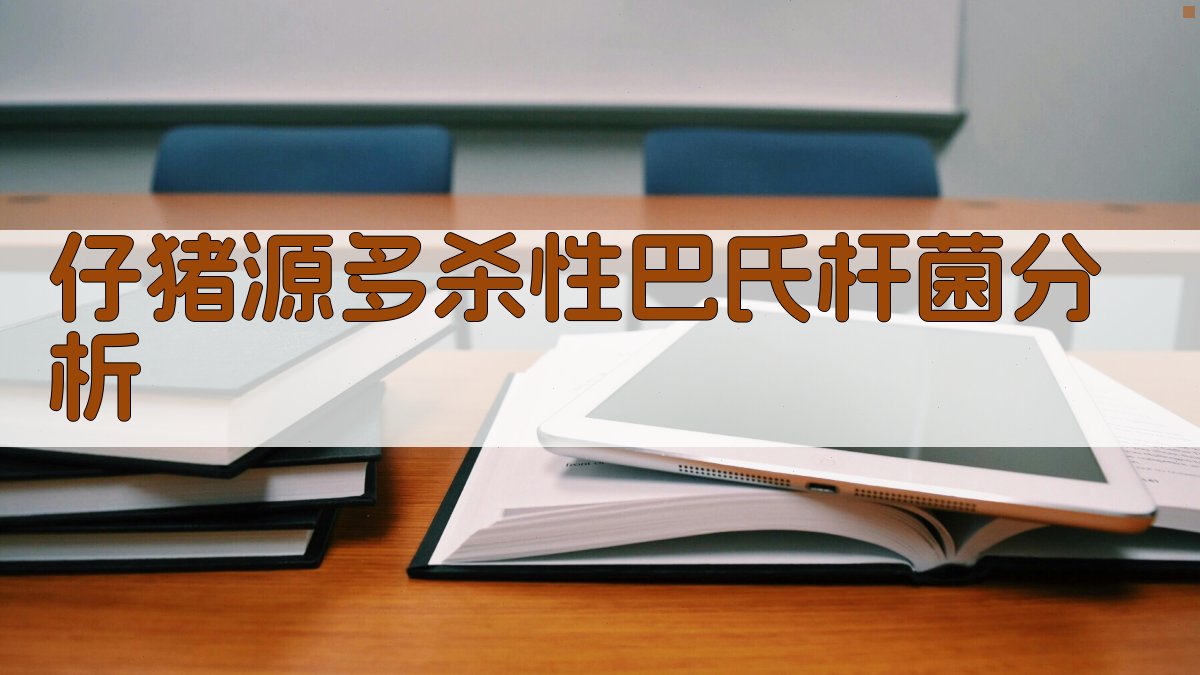 AI智能仔猪源多杀性巴氏杆菌分析