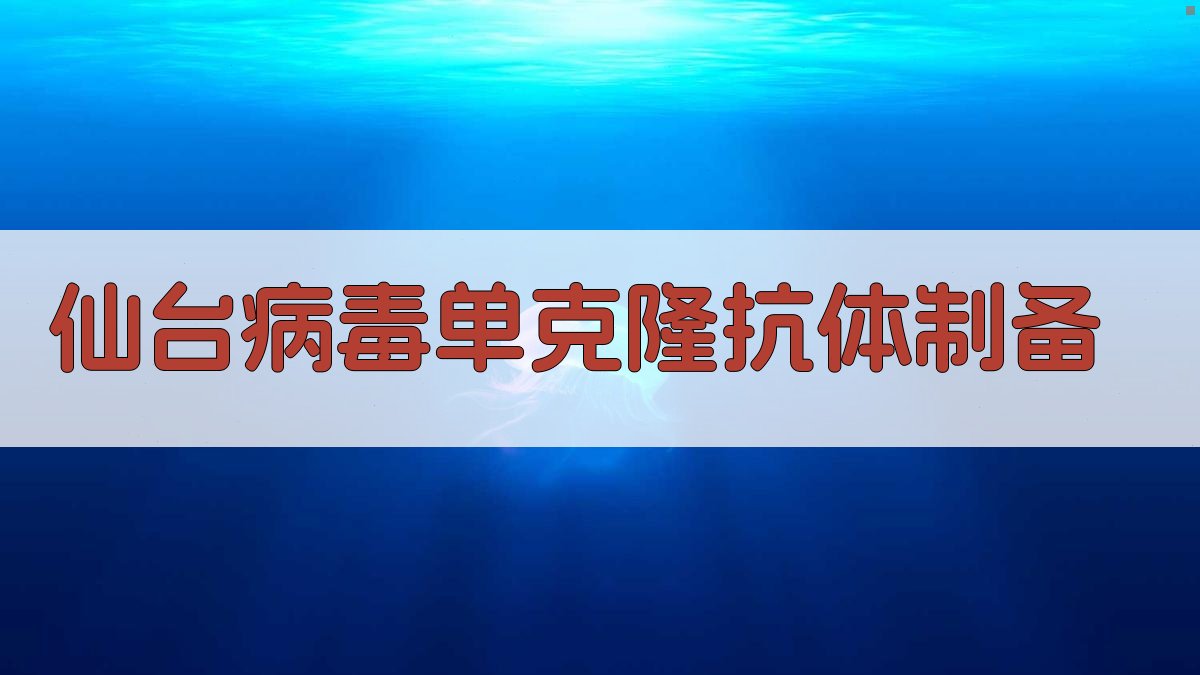 仙台病毒单克隆抗体制备