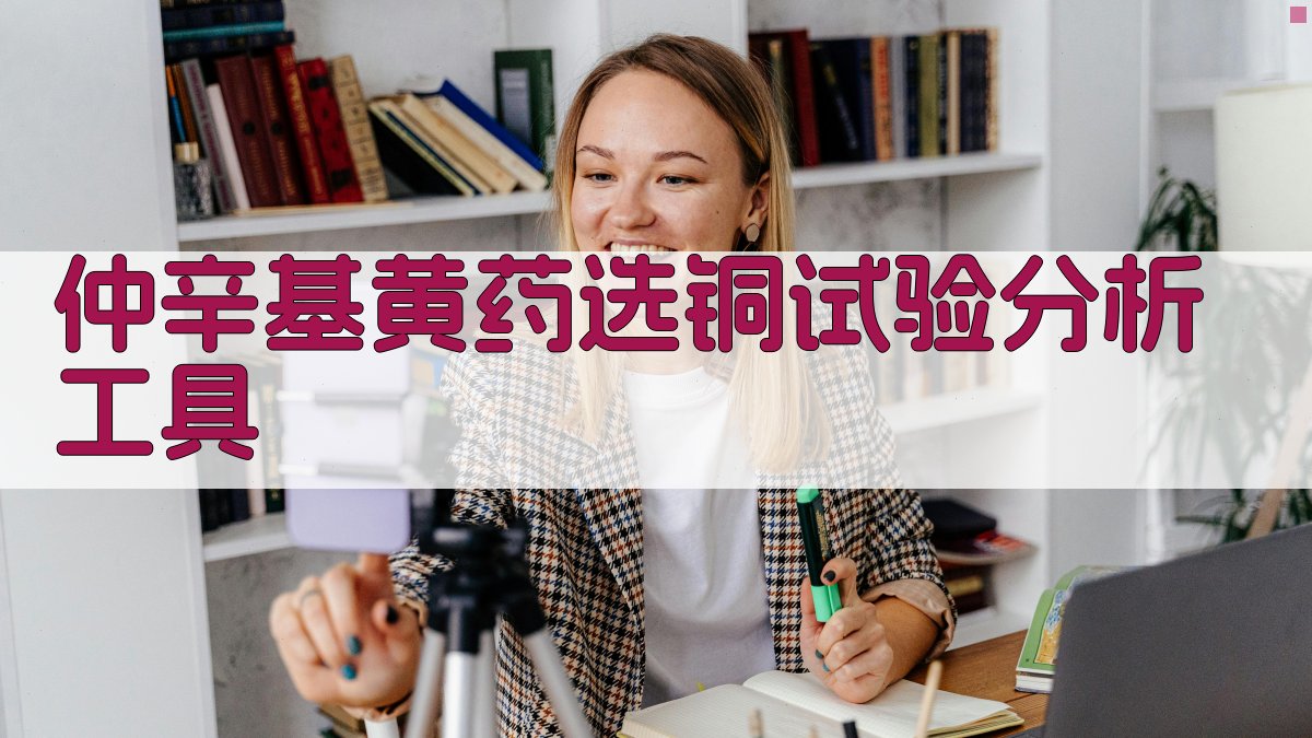 AI仲辛基黄药选铜试验分析工具