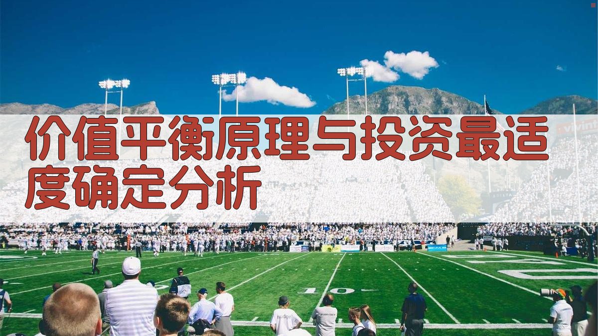 价值平衡原理与投资最适度确定分析
