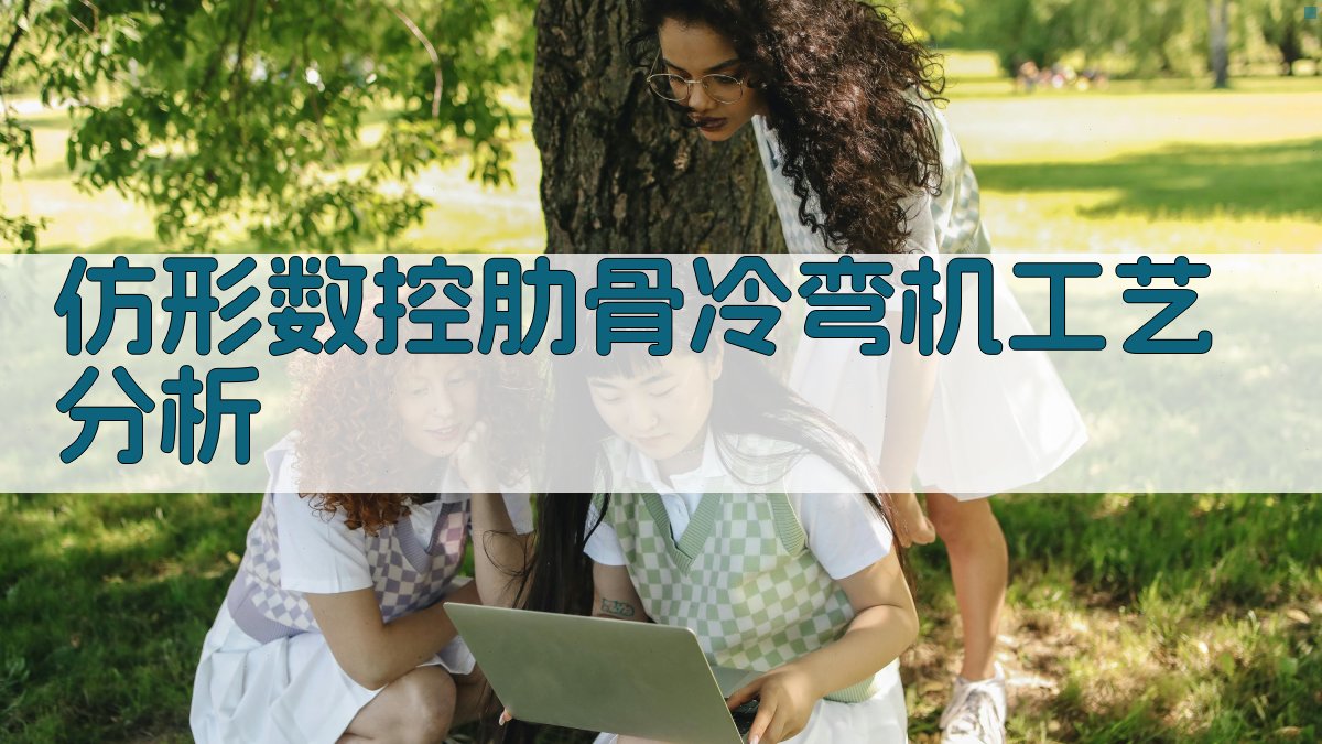 仿形数控肋骨冷弯机工艺分析