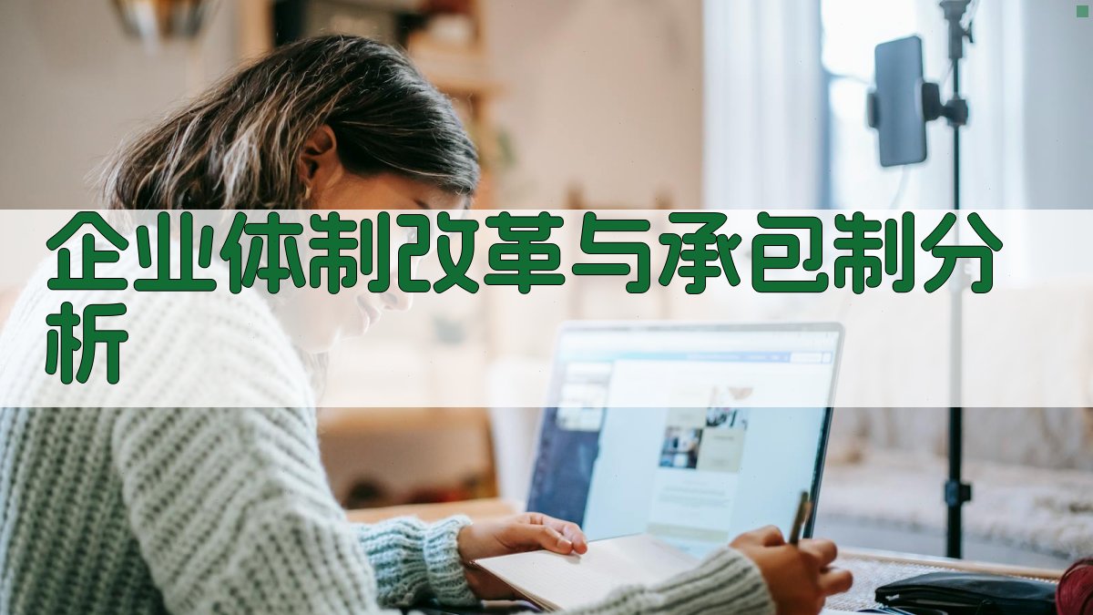 企业体制改革与承包制分析