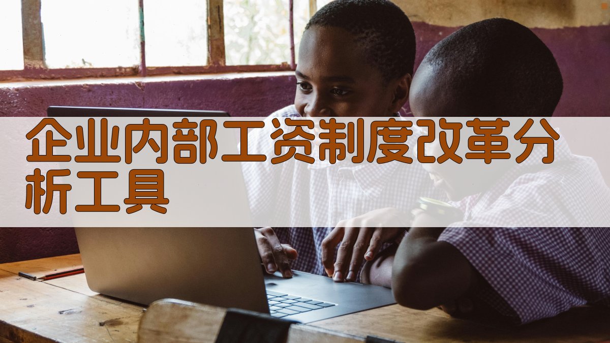企业内部工资制度改革分析工具