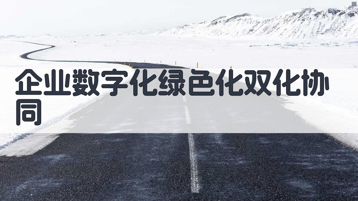 企业数字化绿色化双化协同规划工具