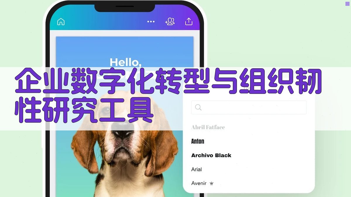 企业数字化转型与组织韧性研究工具
