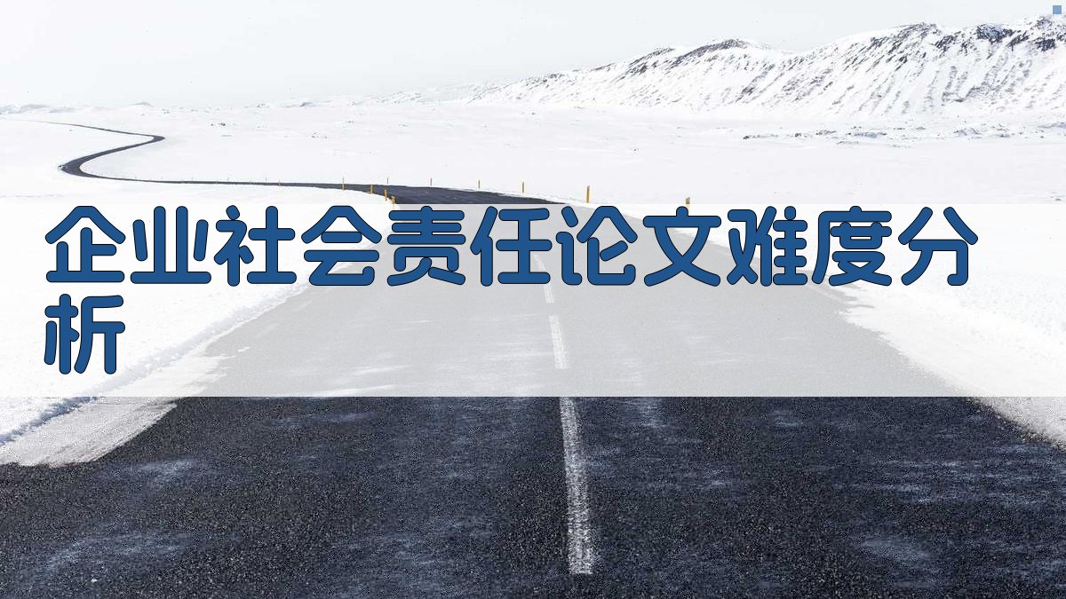 企业社会责任论文难度分析