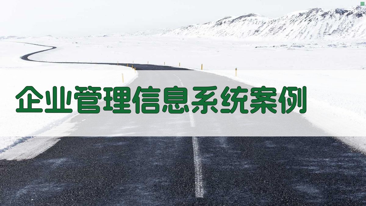 AI企业管理信息系统案例生成