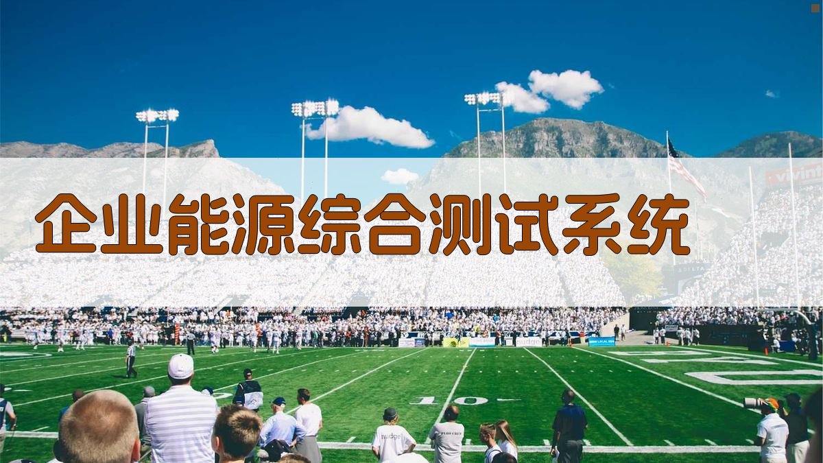 企业能源综合测试系统