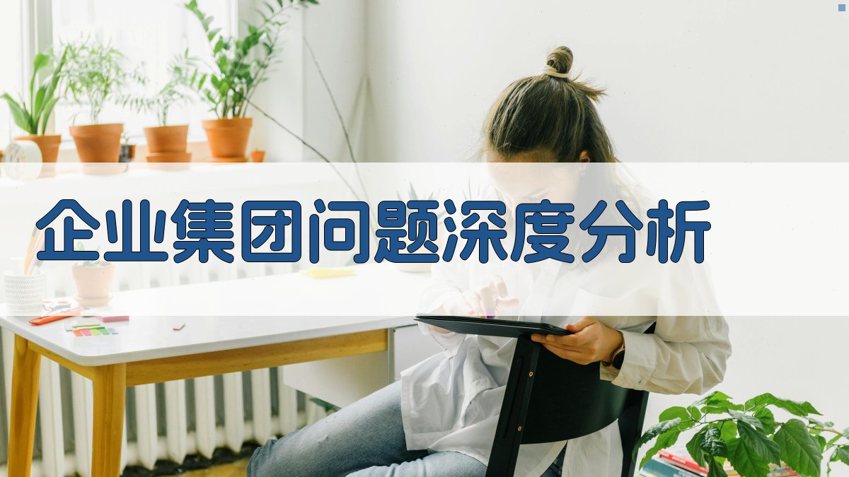 企业集团问题深度分析