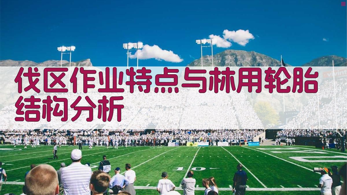 伐区作业特点与林用轮胎结构分析