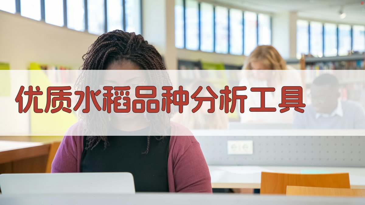 AI优质水稻品种分析工具