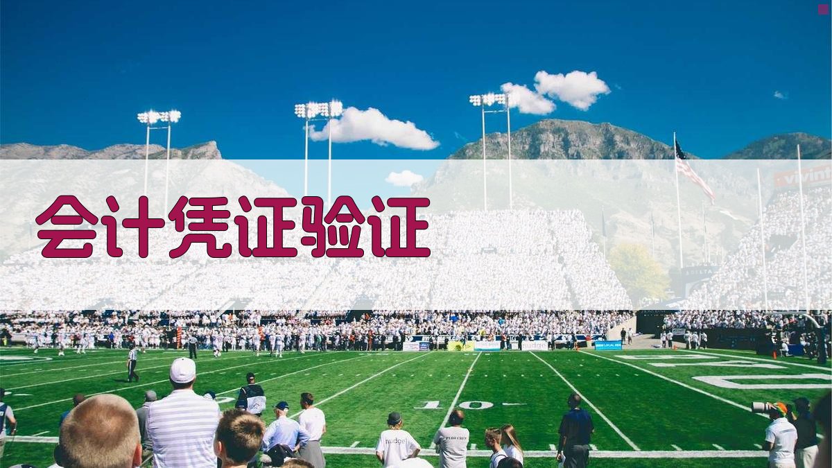 AI会计凭证验证工具