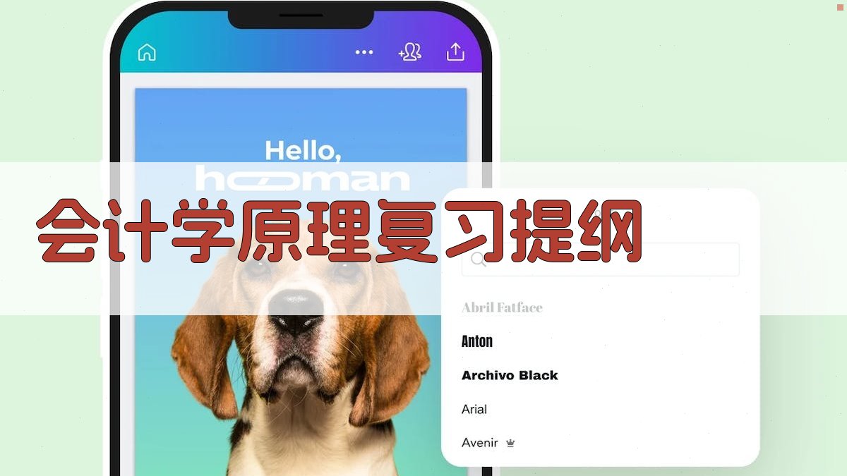 AI一键生成《会计学原理》复习提纲