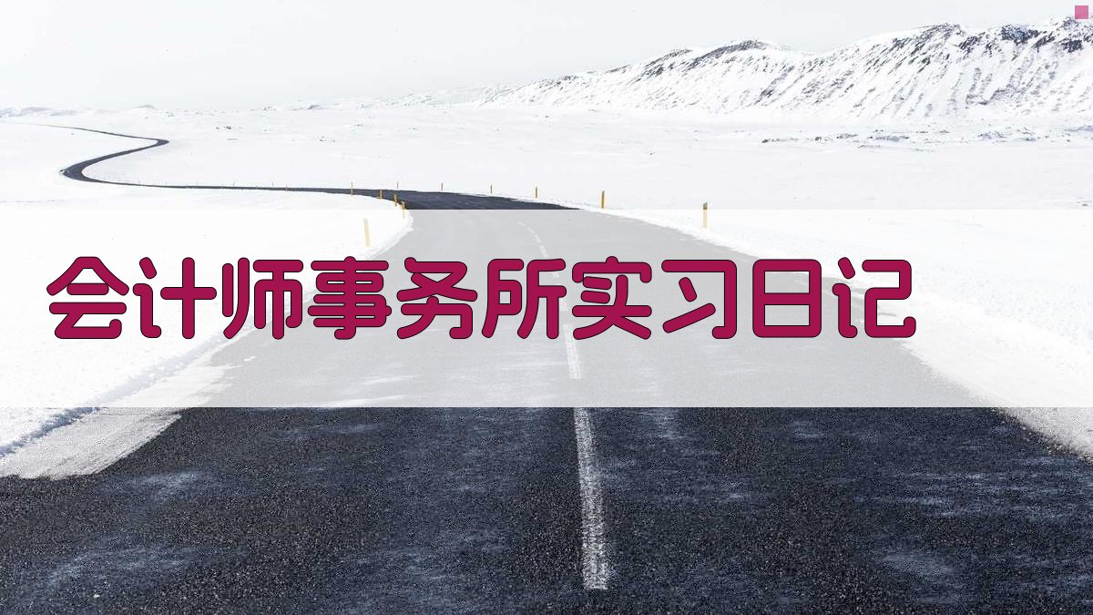 AI会计师事务所实习日记