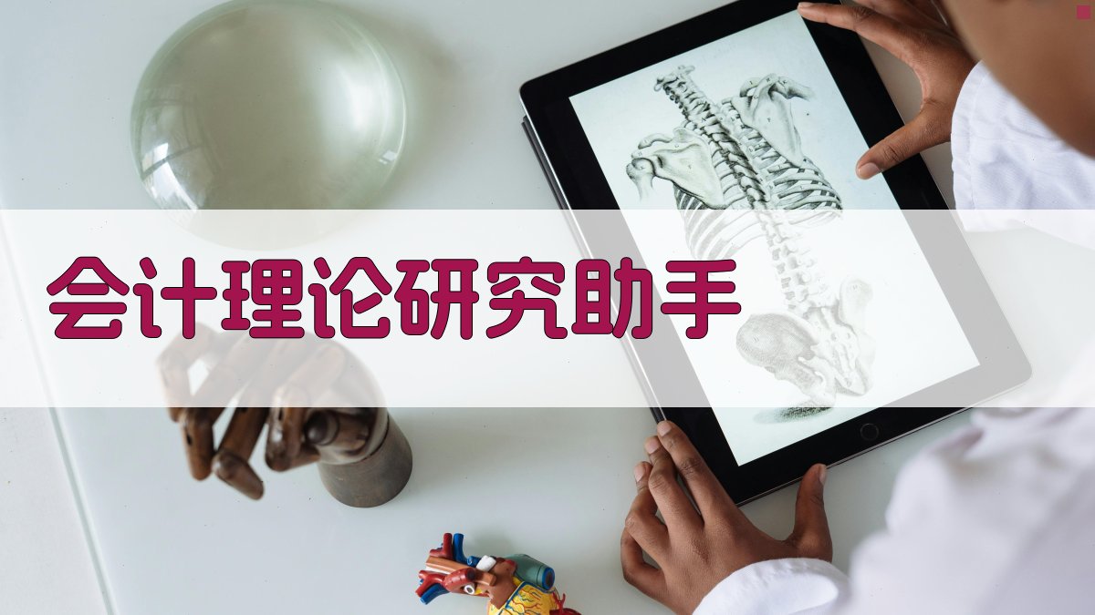 会计理论研究助手