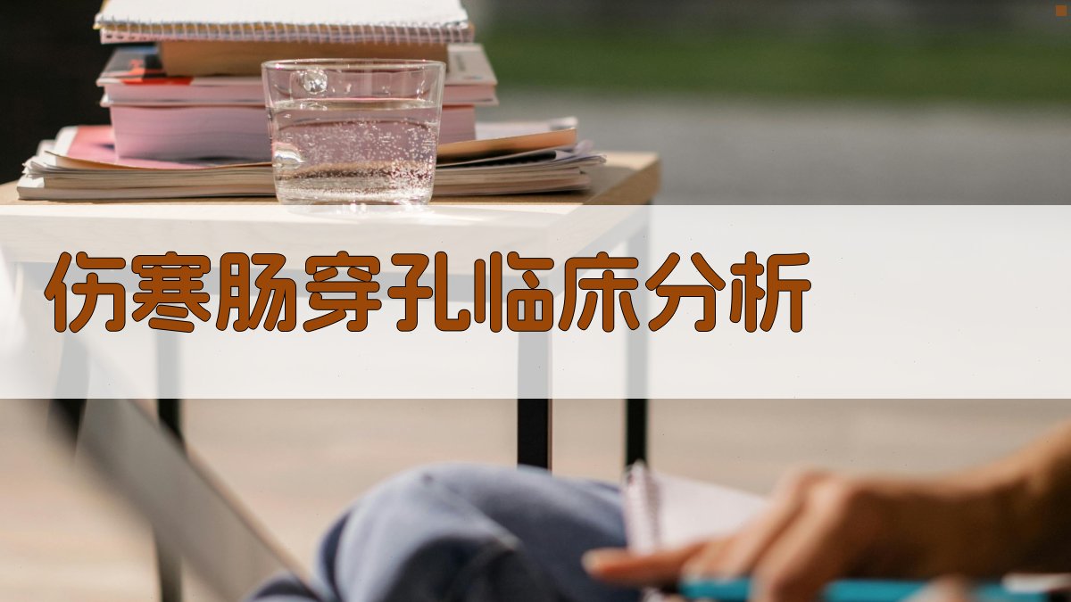 AI伤寒肠穿孔临床分析工具