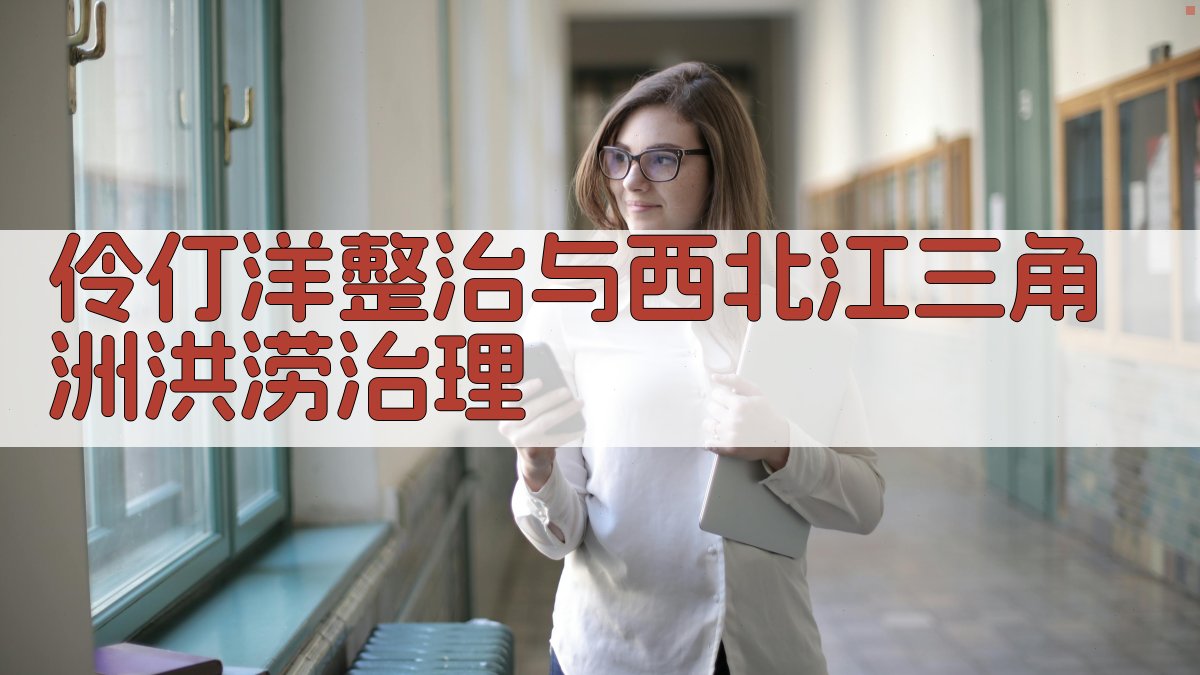 伶仃洋整治与西北江三角洲洪涝治理分析工具