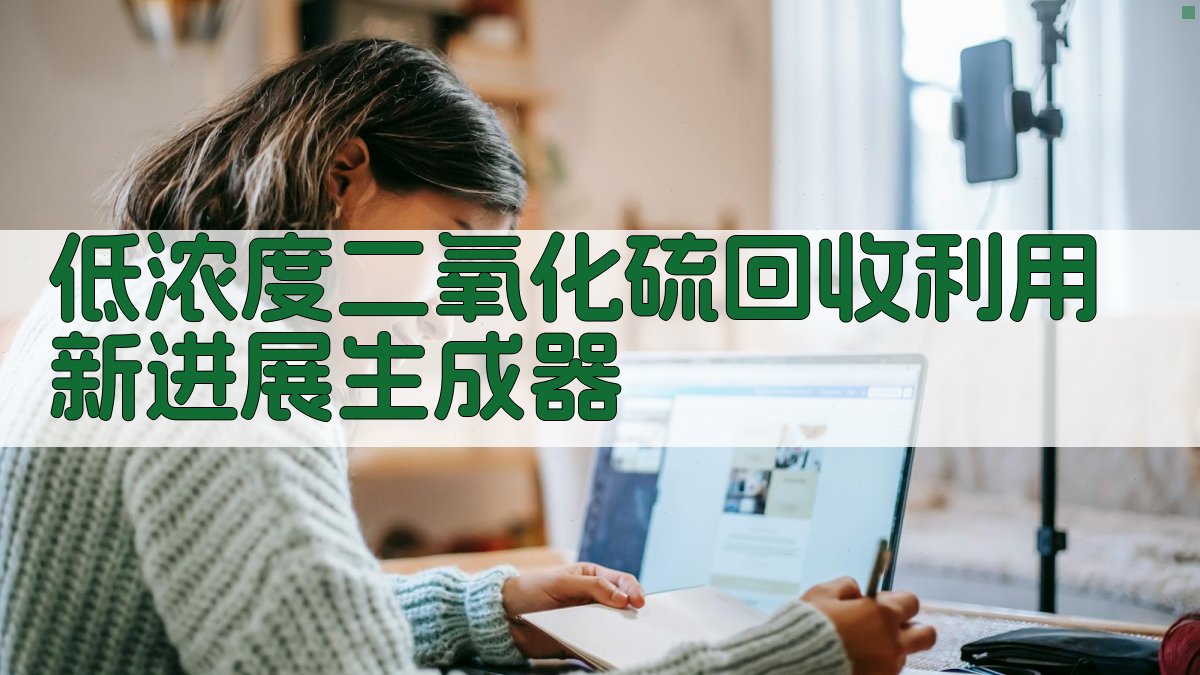 低浓度二氧化硫回收利用