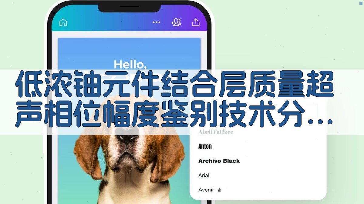 低浓铀元件结合层质量超声相位幅度鉴别技术分析工具