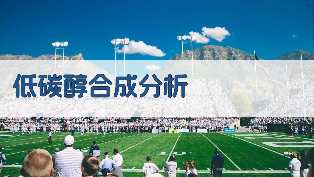 AI低碳醇合成分析