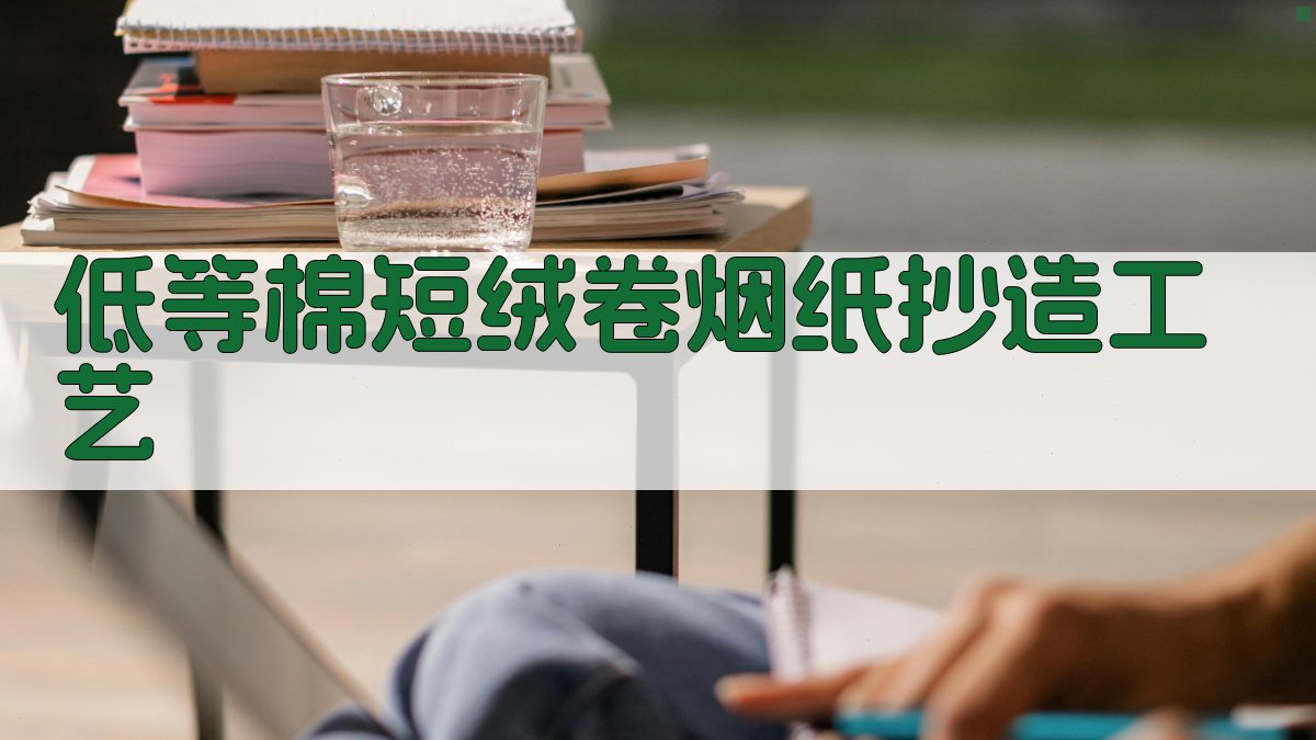 低等棉短绒卷烟纸抄造工艺