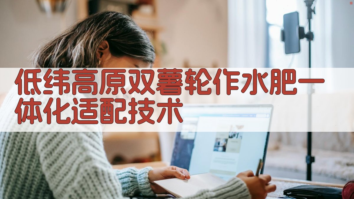 低纬高原双薯轮作水肥一体化适配技术