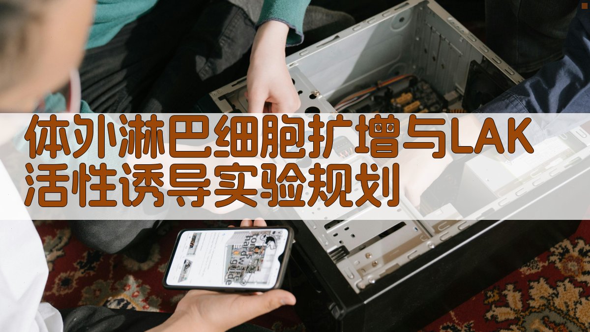 体外淋巴细胞扩增与LAK活性诱导实验规划