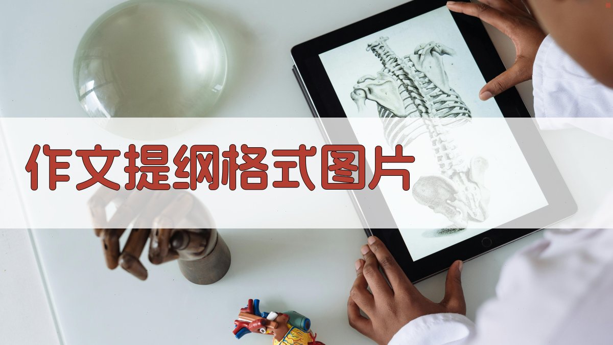作文提纲格式图片