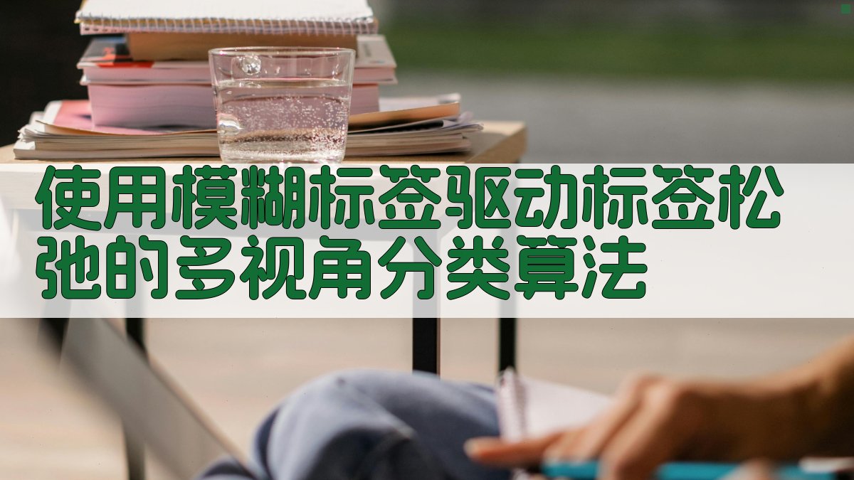 模糊标签驱动标签松弛多视角分类研究助手