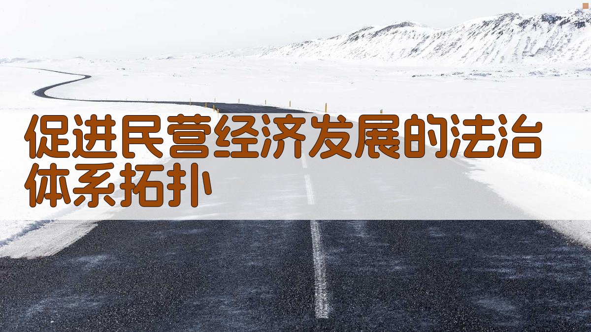 促进民营经济发展的法治体系拓扑