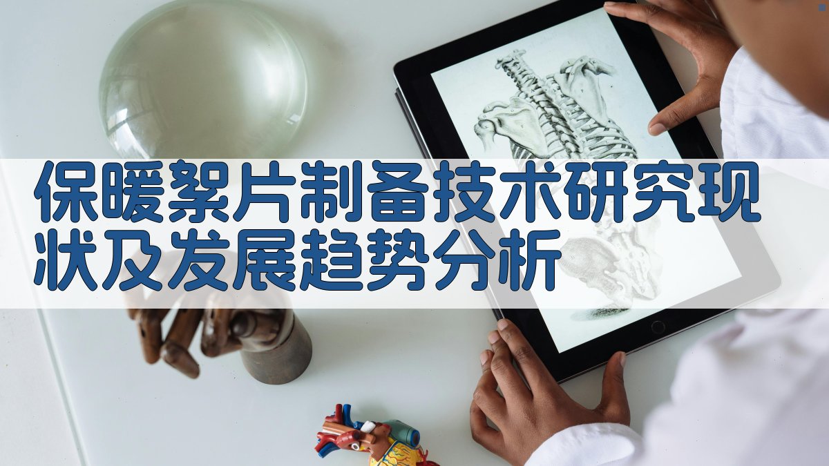 保暖絮片制备技术分析