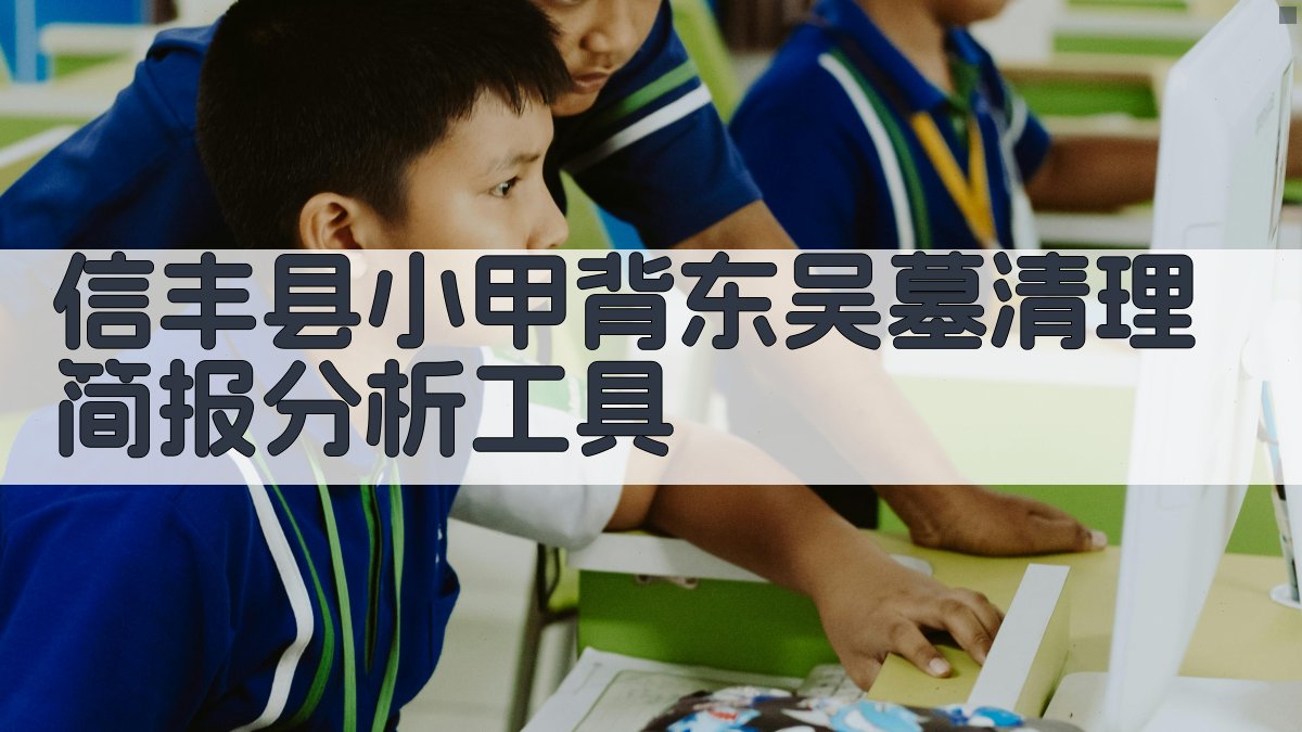 信丰县小甲背东吴墓清理简报分析工具