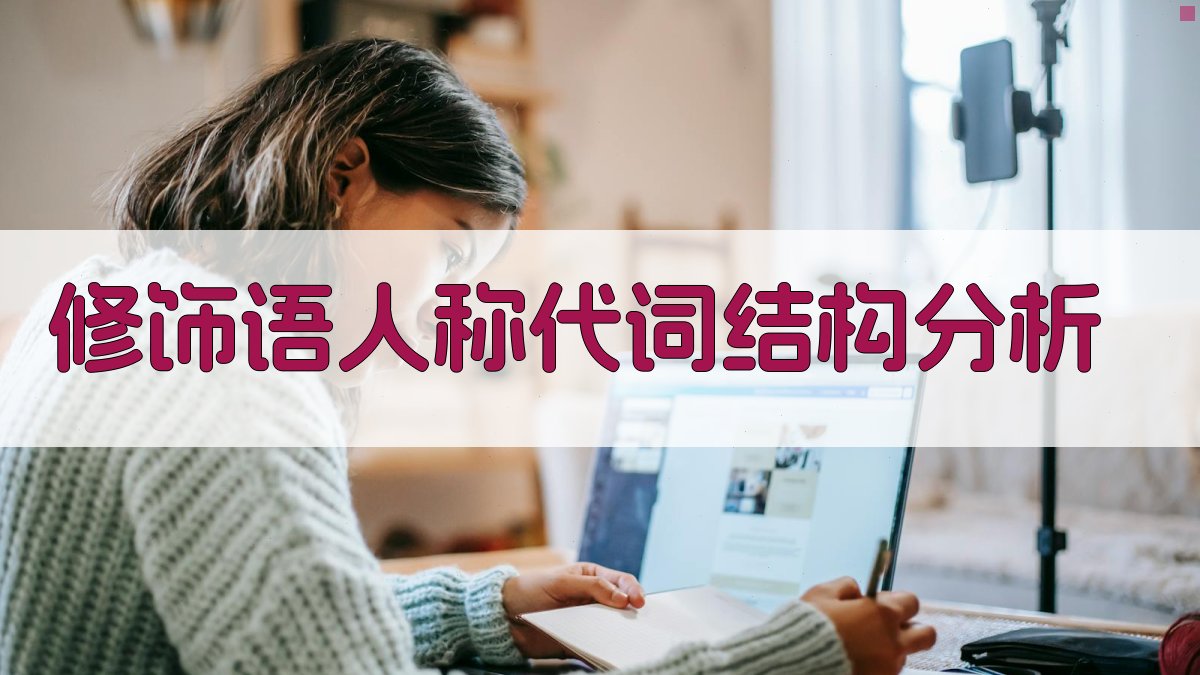 修饰语+人称代词结构分析