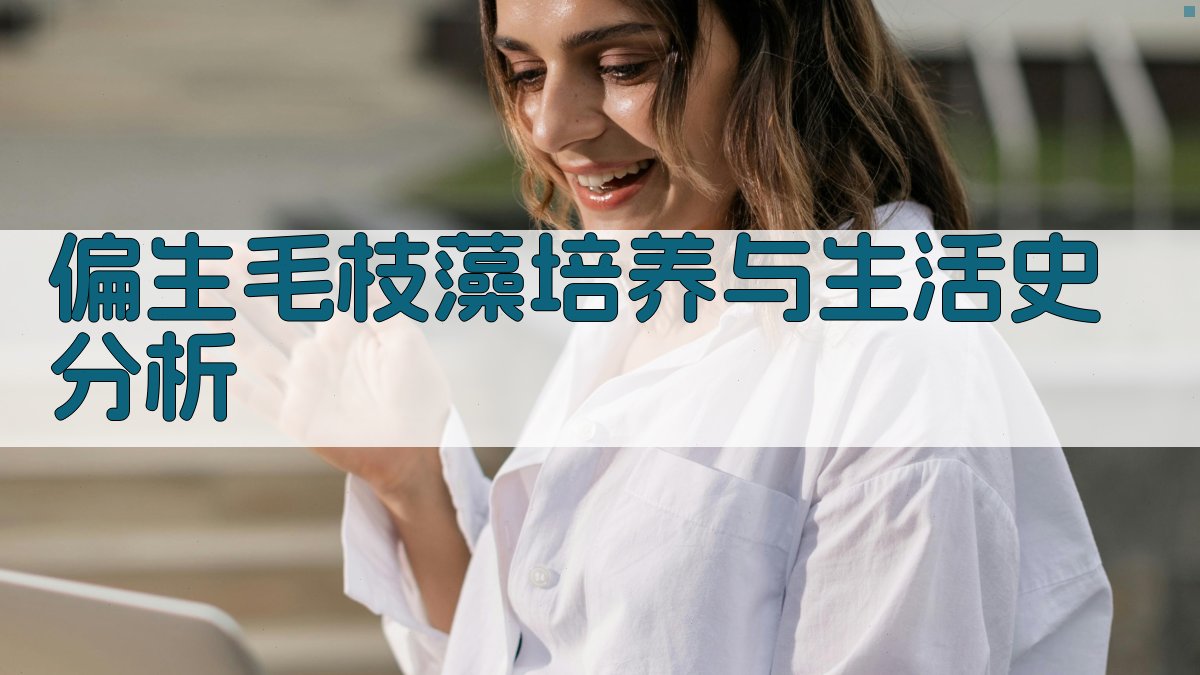 偏生毛枝藻培养与生活史分析