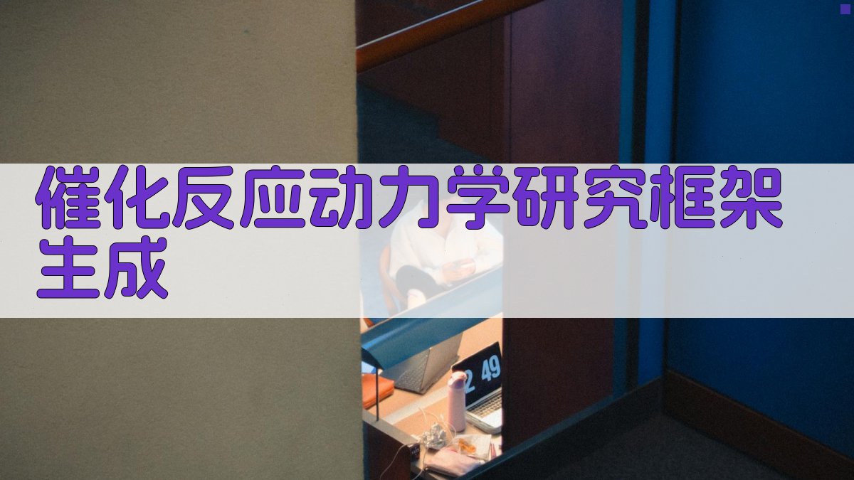 催化反应动力学研究框架生成