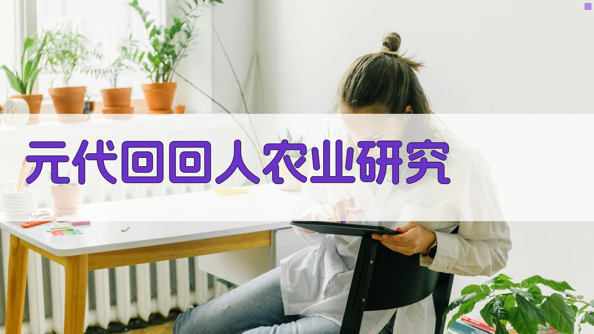 AI元代回回人农业研究结构生成器