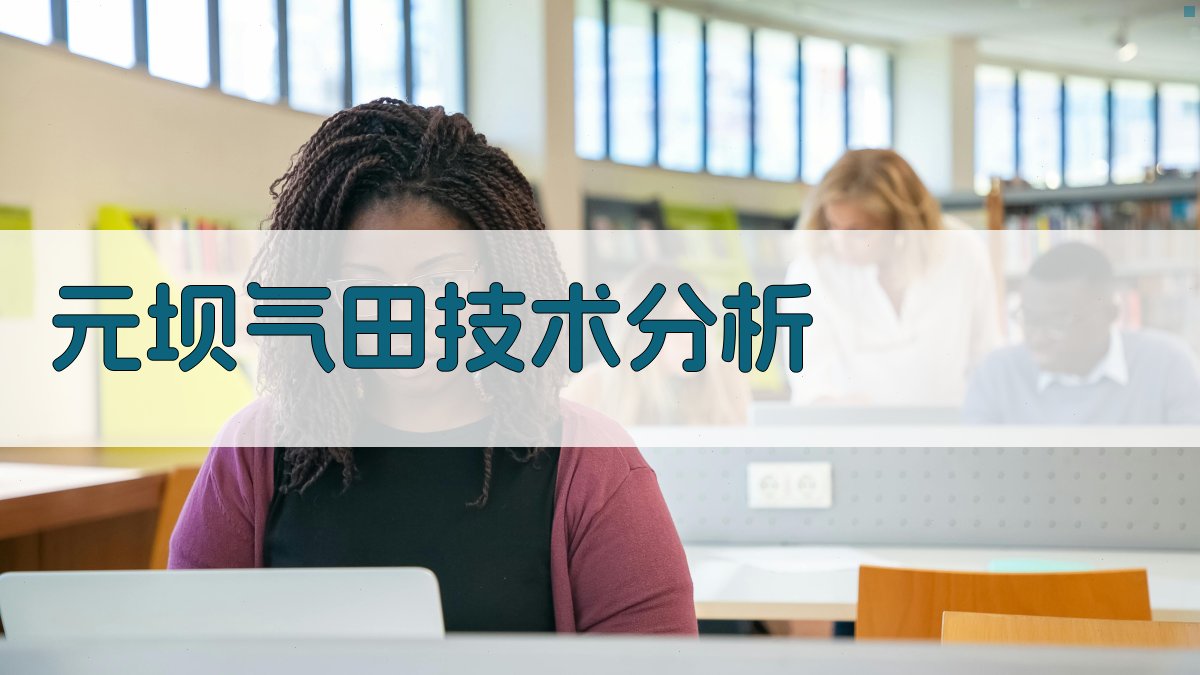 元坝气田技术分析