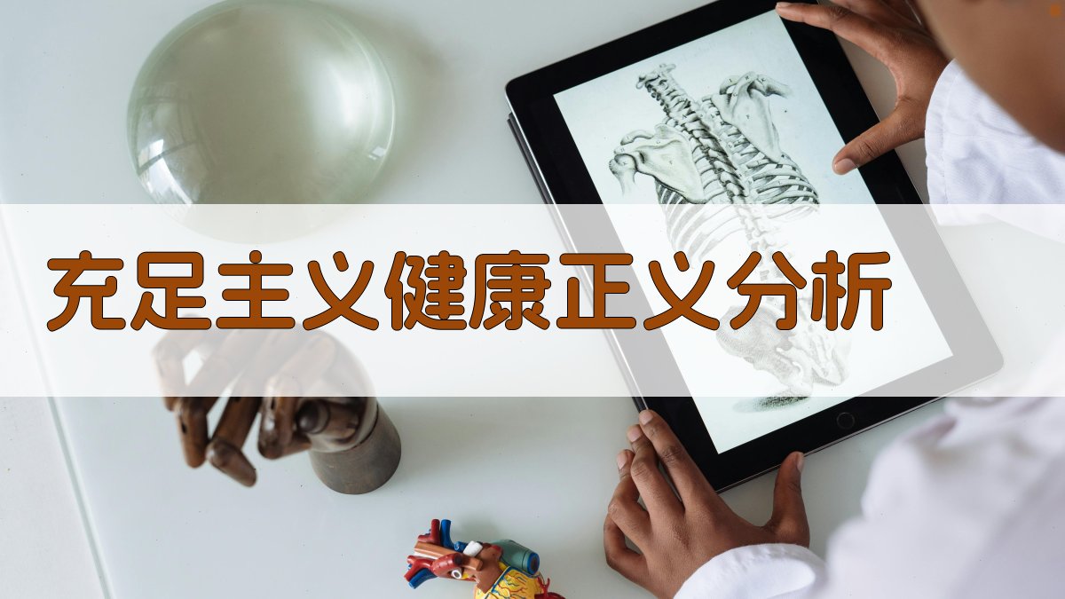 充足主义健康正义分析