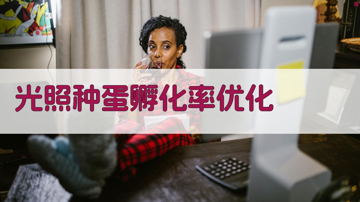 AI光照种蛋孵化率优化工具